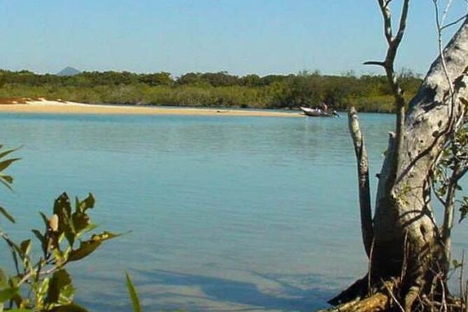 eBike Noosa Sightseeing Tour - New! - Stop 4: Noosa River, scenery with real-world marina and boat life