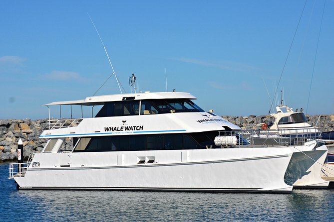 Educational Whale Watching Tour from Perth - Key things I’d zero in on before you go