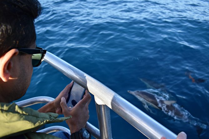 Educational Whale Watching Tour from Perth - Cold water reality: plan for wind, choppy seas, and motion sensitivity