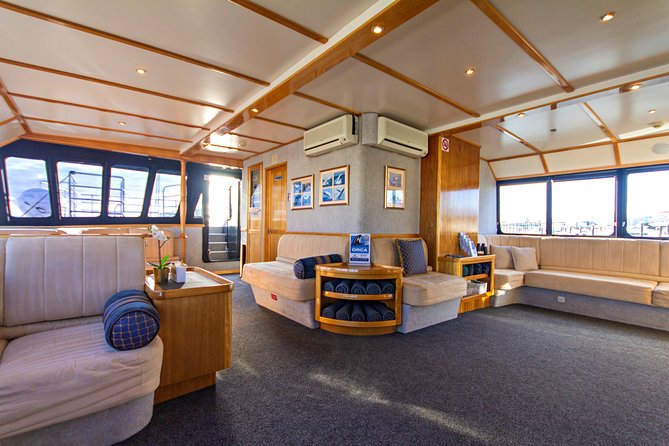 Educational Whale Watching Tour from Perth - Who should book, and who might reconsider