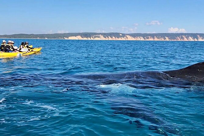 Epic Kayak With Dolphins & Wildlife - 4WD Beach Adventure Noosa - Getting from Noosa to Double Island Point the hard way (on purpose)