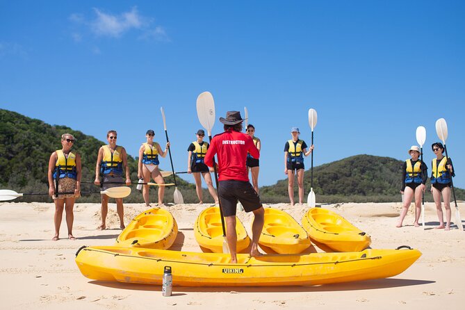 Epic Kayak With Dolphins & Wildlife - 4WD Beach Adventure Noosa - Swimming and water time: when it fits in