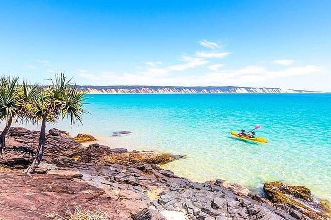 Epic Kayak With Dolphins & Wildlife - 4WD Beach Adventure Noosa - How long it really feels: pacing, driving, and the tradeoffs