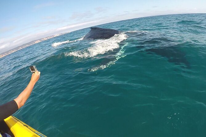 Epic Kayak With Dolphins & Wildlife - 4WD Beach Adventure Noosa - The beach 4WD ride: the part many people talk about