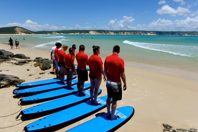 Epic Surf Safari Beach 4WD Day Tour -Noosa to Double Island Point - Great Sandy Marine Park wildlife: when to look