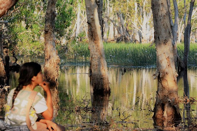 ETHICAL ADVENTURES - 1 Day premium Litchfield tour, small group - Should You Book Ethical Adventures NT’s Litchfield Tour?