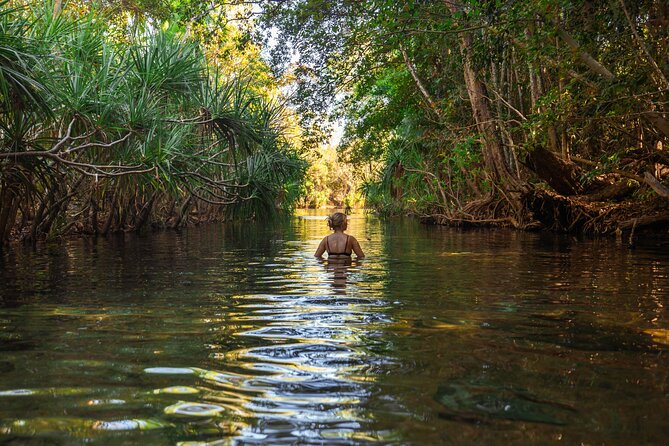 ETHICAL ADVENTURES - 1 Day premium Litchfield tour, small group - Litchfield National Park: Waterfalls, Termite Mounds, and Real Time for Swimming