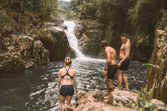 Eungella Platypus Tour - Finch Hatton Gorge and Eungella, why this combo works