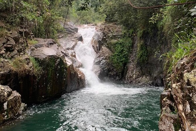 Eungella Platypus Tour - Finch Hatton Gorge hike, waterfall swim option, and the real effort level