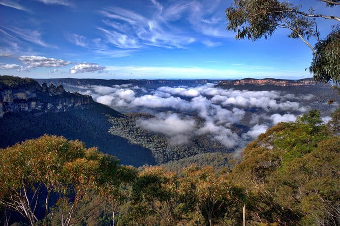 Eungella Platypus Tour - Pioneer Valley lunch: included, simple, and timed for comfort
