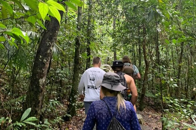 Eungella Platypus Tour - Eungella National Park and platypus spotting, how the guide helps