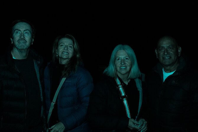 Evening Rainforest & Glow Worm Tour from Gold Coast - Torchlight rainforest walk in Tamborine National Park