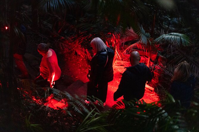 Evening Rainforest & Glow Worm Tour from Gold Coast - Rain, winter, and why conditions change the glow worm count