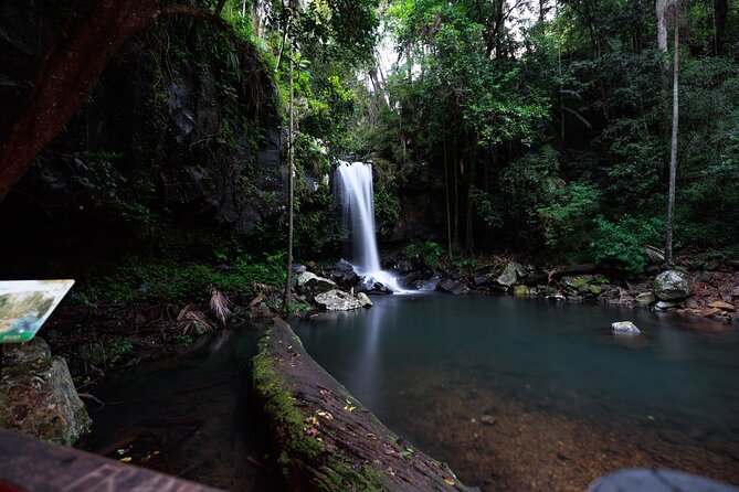 Evening Rainforest & Glow Worm Tour from Gold Coast - Photo reality: torches help, but the magic is hard to capture