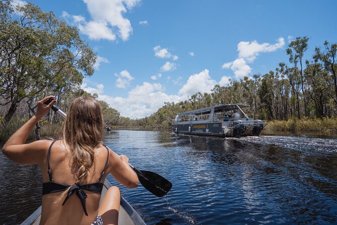 Everglades Explorer - Noosa Everglades Tour - Getting Into Australias Only Everglades From Noosa
