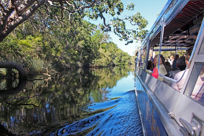 Everglades Explorer - Noosa Everglades Tour - Eco Boats Versus Canoes: Pick The Experience That Matches Your Day