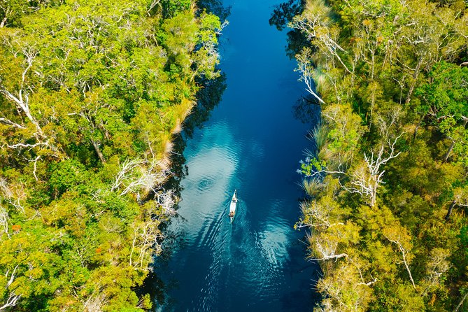 Everglades Explorer - Noosa Everglades Tour - Mirrored Water, Birds, And The Wildlife Reality Check