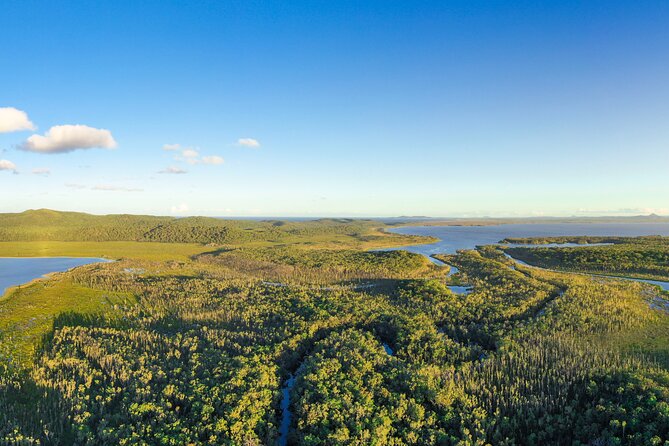 Everglades Explorer - Noosa Everglades Tour - Price And Value: What About $118.35 Really Covers