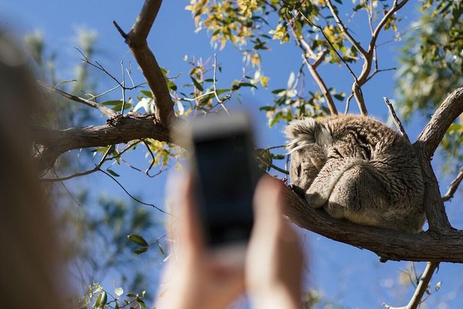 Exceptional Port Lincoln, Seafood and Wildlife Tour - Key things I’d mark on your mental map