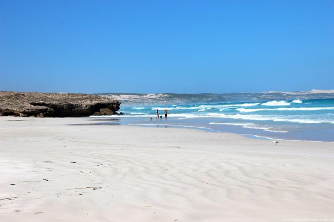 Exceptional Port Lincoln, Seafood and Wildlife Tour - Value check: is $114 really fair for this day?