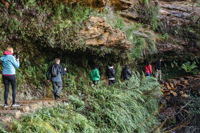 Exclusive Blue Mountains Wildlife and Bushwalk Tour From Sydney - Echo Point and the Three Sisters: classic views with Aboriginal Dreamtime context