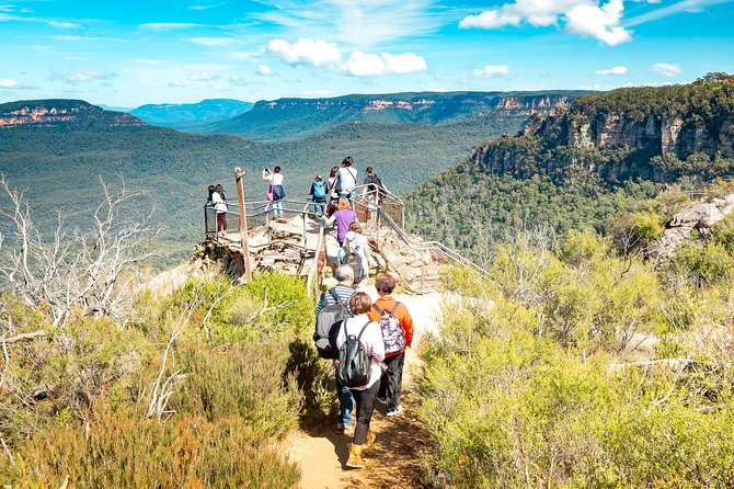 Exclusive Blue Mountains Wildlife and Bushwalk Tour From Sydney - Leura and lunch in the mountain villages: how to eat well without losing the day