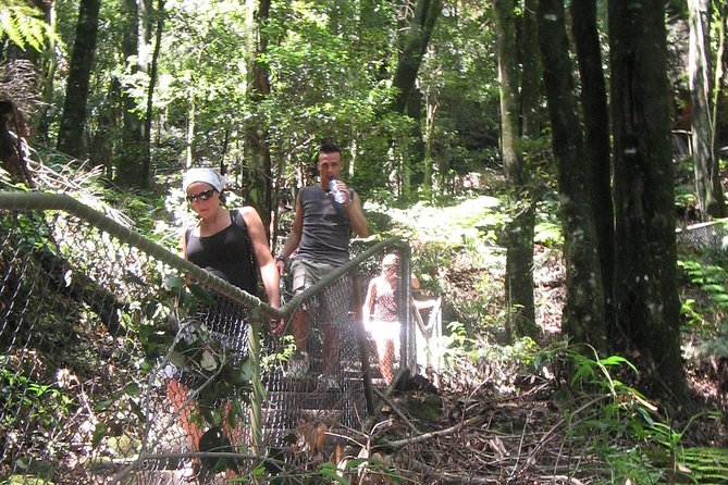 Exclusive Blue Mountains Wildlife and Bushwalk Tour From Sydney - Group size and the guide effect: why names like Jason and Stuart matter