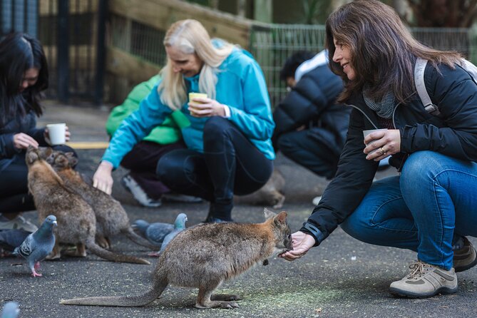 Exclusive Blue Mountains Wildlife and Bushwalk Tour From Sydney - Featherdale Sydney Wildlife Park: where you’ll see koalas and kangaroos without the hunt