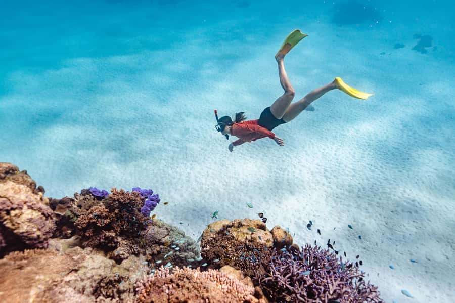 Exmouth: Guided Ningaloo Reef Snorkel Adventure - Key things I’d prioritize before you book
