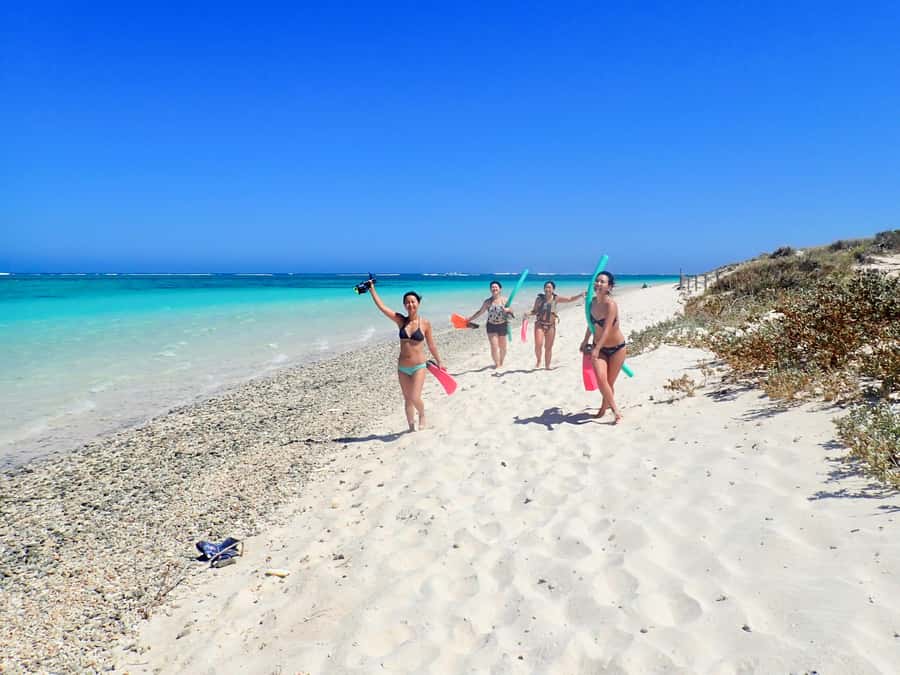 Exmouth: Guided Ningaloo Reef Snorkel Adventure - Walking through the day: pickups, transfers, and the 7-hour rhythm