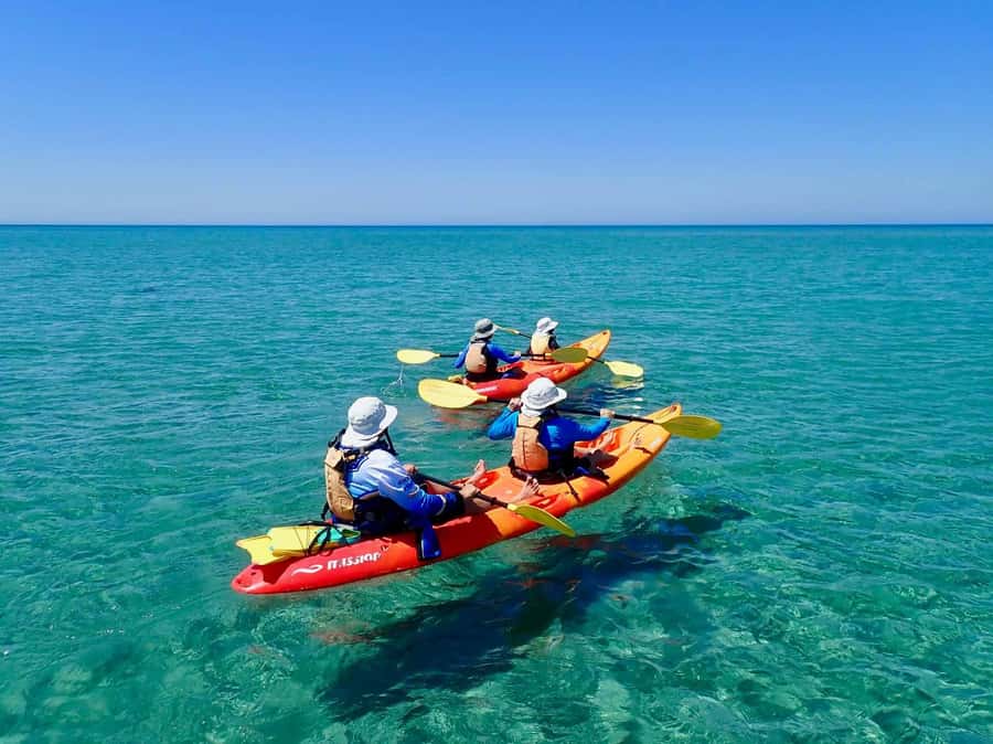 Exmouth: Half Day Turtle Kayak & Snorkel Tour - Key highlights at a glance