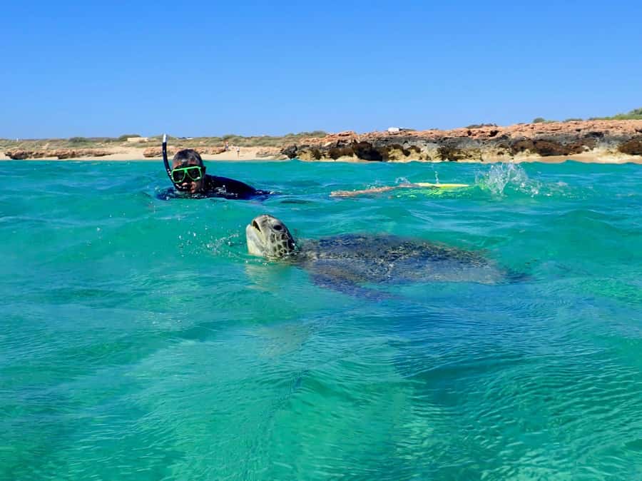 Exmouth: Half Day Turtle Kayak & Snorkel Tour - From pickup van to kayak launch: what the setup feels like in real life