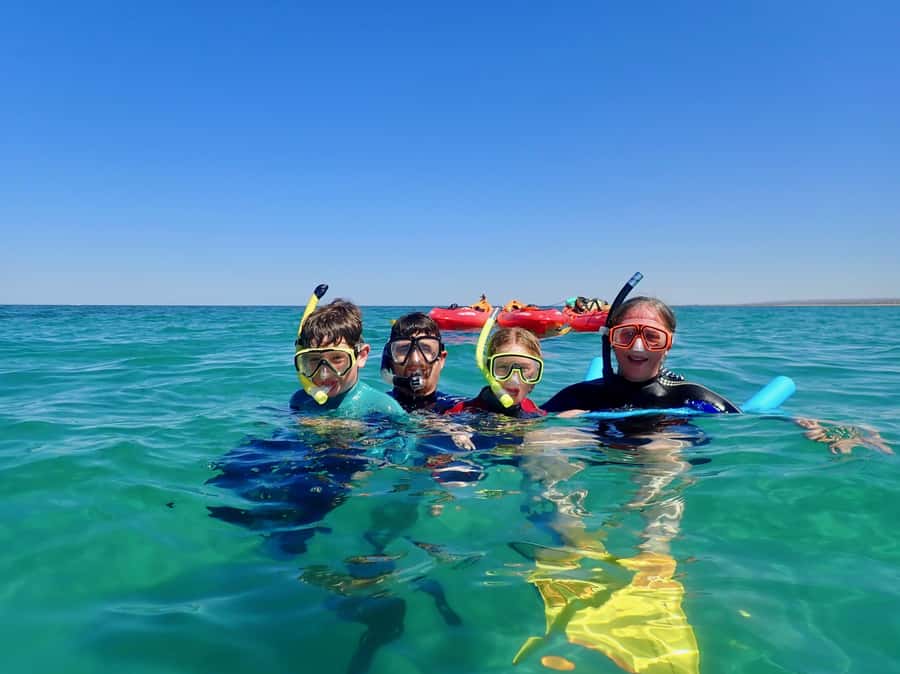 Exmouth: Half Day Turtle Kayak & Snorkel Tour - Price and value: is $106 worth it for a guided Ningaloo reef experience?