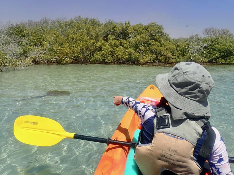 Exmouth: Half Day Turtle Kayak & Snorkel Tour - The 4-hour rhythm: pickup, short transfers, and high-tide timing