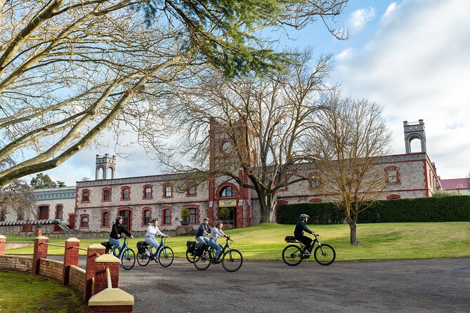 Experience Barossa Valley by E-bike - Riding the Barossa Cycle Trail to the Chocolate Company
