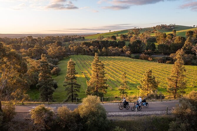 Experience Barossa Valley by E-bike - Barossa Valley Cheese Company: Pairing Takes the Guesswork Out