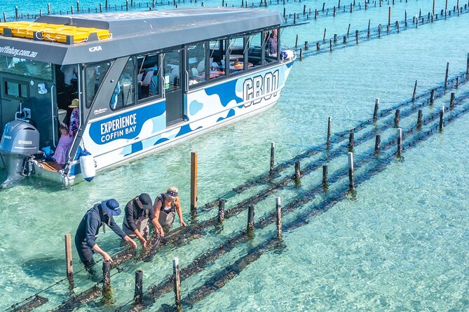 Experience Coffin Bay Oyster Farm and Bay Tour - Key things that make this tour worth your time