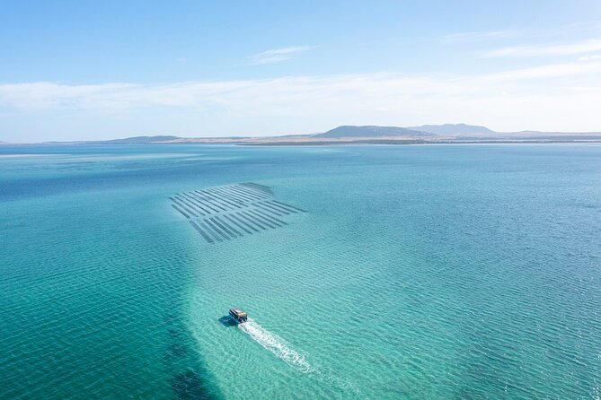 Experience Coffin Bay Oyster Farm and Bay Tour - From jetty to oyster lease, the 3-hour flow you’ll actually feel