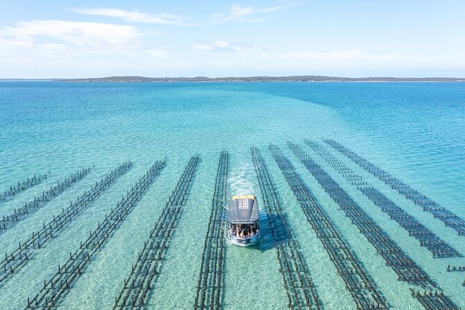 Experience Coffin Bay Oyster Farm and Bay Tour - 12 fresh oysters per person, shucked right on board