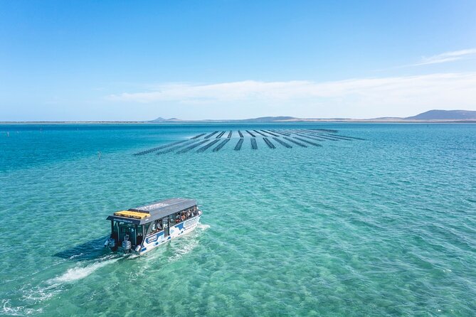 Experience Coffin Bay Oyster Farm and Bay Tour - Price and value: is $132.69 per person fair for what you get?