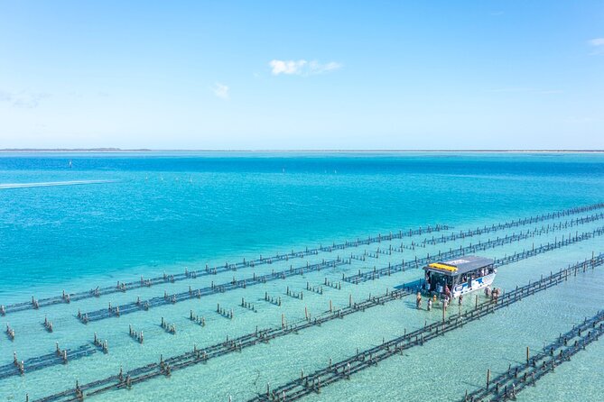 Experience Coffin Bay Oyster Farm and Bay Tour - Who should book this oyster and wildlife cruise