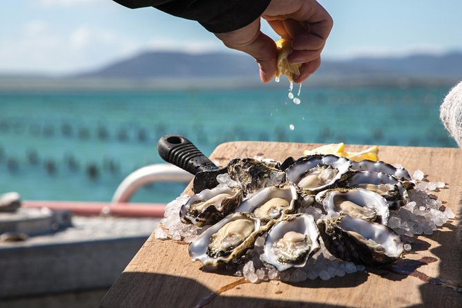 Experience Coffin Bay Oyster Farm and Bay Tour - Weather and practical timing: what to expect on the day