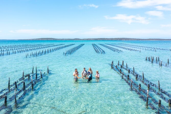 Experience Coffin Bay Oyster Farm and Bay Tour - Coffin Bay waterways and National Park views, before the oyster work