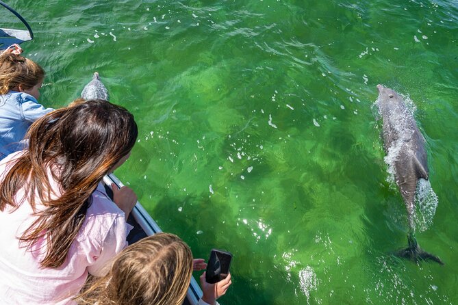 Experience Coffin Bay Short and Sweet Oyster Farm Tour - Should you book the Coffin Bay Short and Sweet Oyster Farm Tour?