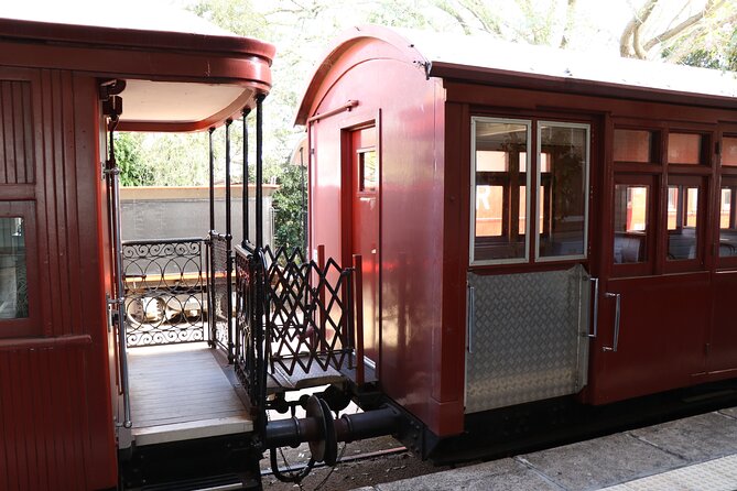 Experience History onboard The Mary Valley Rattler - Price, duration, and how to judge value like a pro