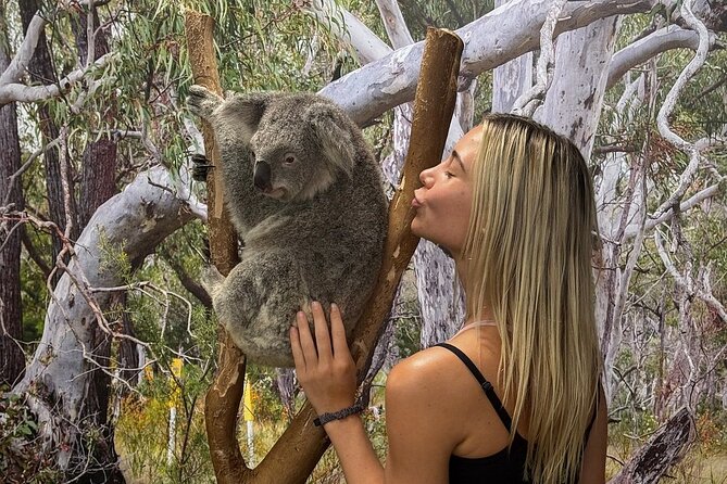 Featherdale Wildlife Park with Exclusive Private Transfers - Key points I think you’ll care about