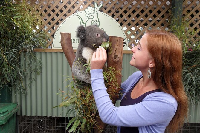 Featherdale Wildlife Park with Exclusive Private Transfers - Price and value, what €207.15 per person really buys