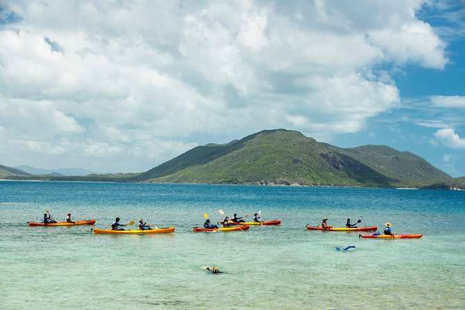 Fitzroy Island Day Tour from Cairns - Your seven hours on the island: beach, rainforest, and Nudey Beach