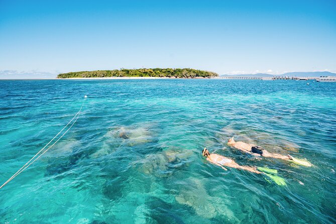 Fitzroy Island Transfers and Tours from Cairns - The ferry crossing, and why “light breakfast” is not a joke