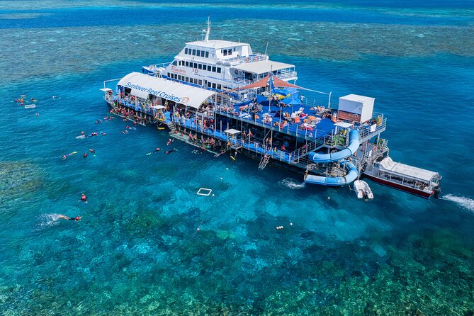 Fitzroy Island Transfers and Tours from Cairns - Turtle and nature add-ons: what you can upgrade to